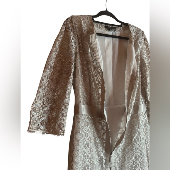 Etcetera Metallic Lace Dress size 8 - Picture 4 of 10